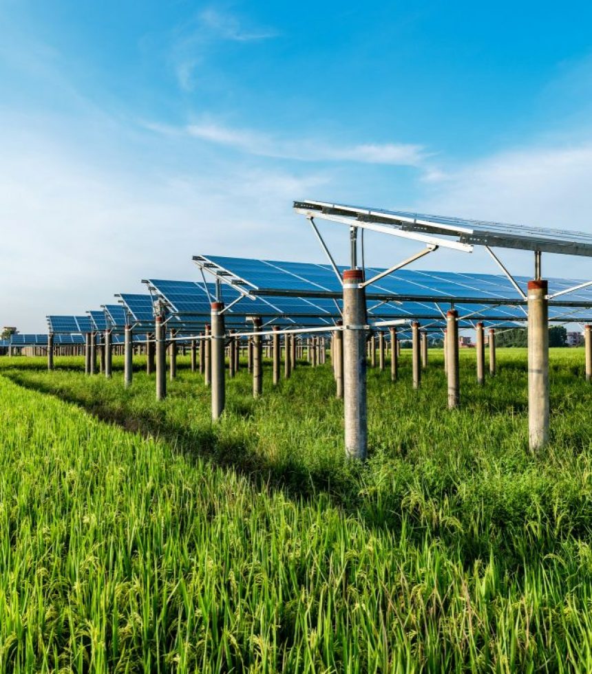 Photovoltaik Neubrandenburg